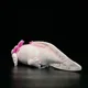 thumbnail image 3 of Juguete de peluche Axolotl realista para adultos y niños, suave, lindo, Ambystoma, mexianum, Animal de peluche, regalos, 3 of 5