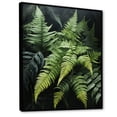 thumbnail image 2 of Designart "Dynamic Ferns Green and Black Contrast II" Floral & Botanical Floater Framed Wall Art Living Room, 2 of 7