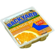 Backyard Seeds Orange Blast Suet Cake 12 Pack
