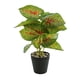 thumbnail image 5 of Advancent Planta en maceta de tortuga ecológica, plantas artificiales de bajo mantenimiento para decoración de balcón, sala de estar JH5474 JH5474 2Conjunto, 5 of 6