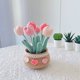 thumbnail image 2 of Kit Crochet en Macetas Flores Diy Lindas Plantas Herramienta para (Tulip), 2 of 9