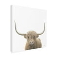 thumbnail image 2 of James Wiens 'Highland Cow Sepia Sq' Canvas Art, 2 of 3