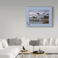 thumbnail image 3 of Trademark Fine Art 'Flight Of The Ducks' Canvas Art by Wilhelm Goebel, 3 of 3