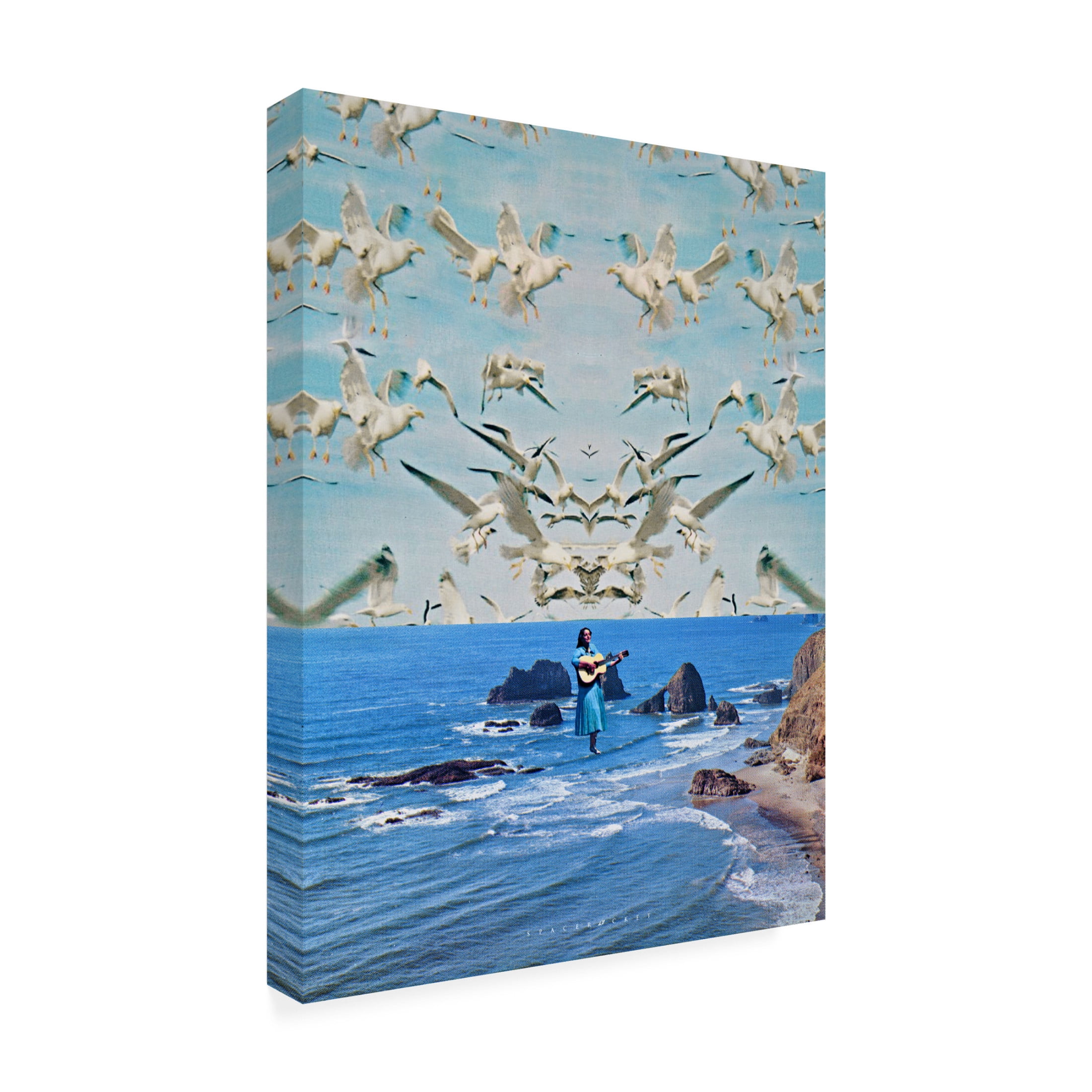 Trademark Fine Art spacerocket art  279 Canvas Wall Art