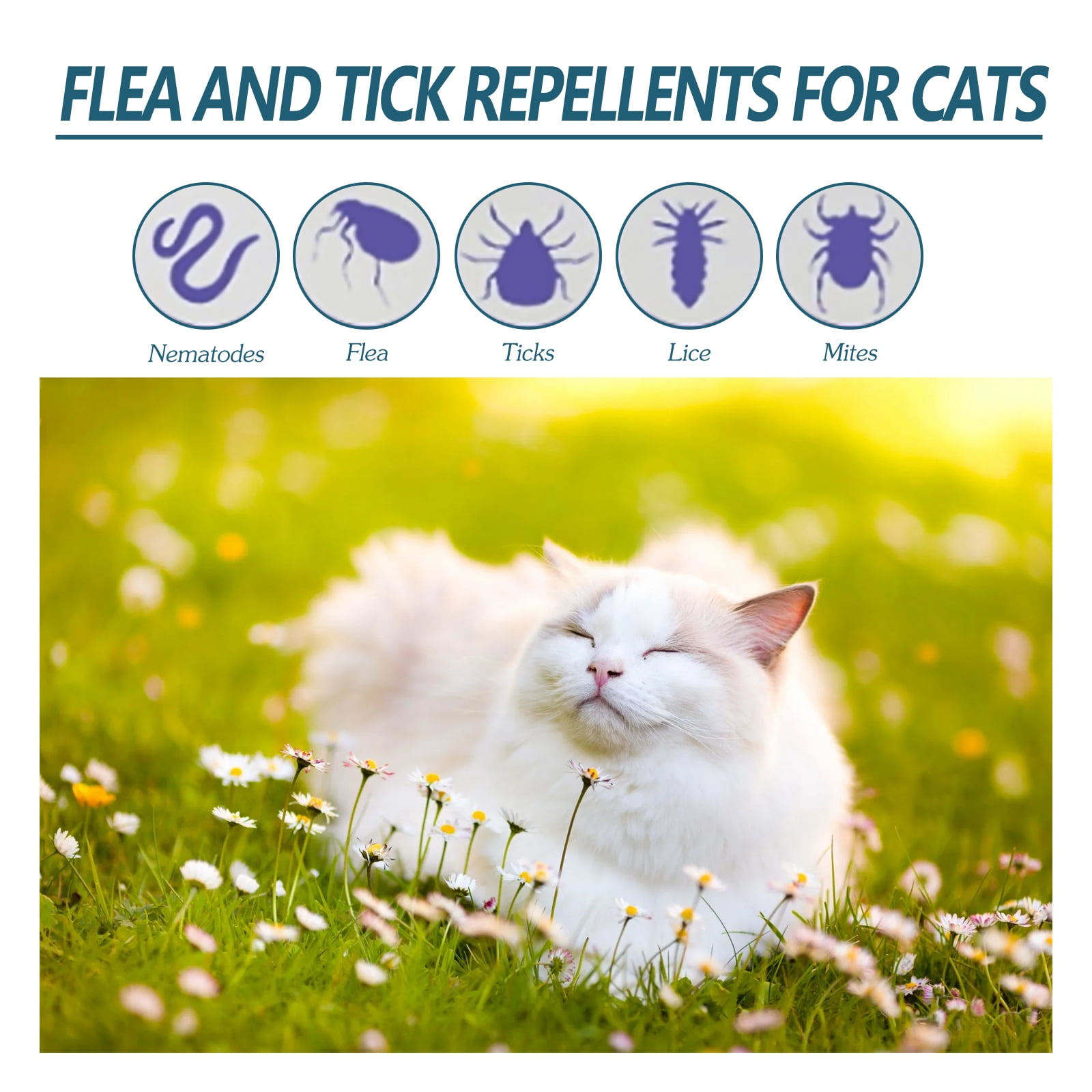 Alvantor Insect Repellent Spot On Cat Flea and Tick Prevention Treatment - Natural Essential Oil Repellent, 1.69fl.oz