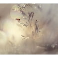thumbnail image 2 of Westum, Heidi 16x15 White Modern Wood Framed Museum Art Print Titled - Little Lady, 2 of 4