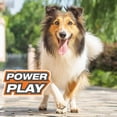 thumbnail image 6 of Nylabone Power Play Dog Fetch Toys Fling-a-Bounce Medium - 10 in., 6 of 10