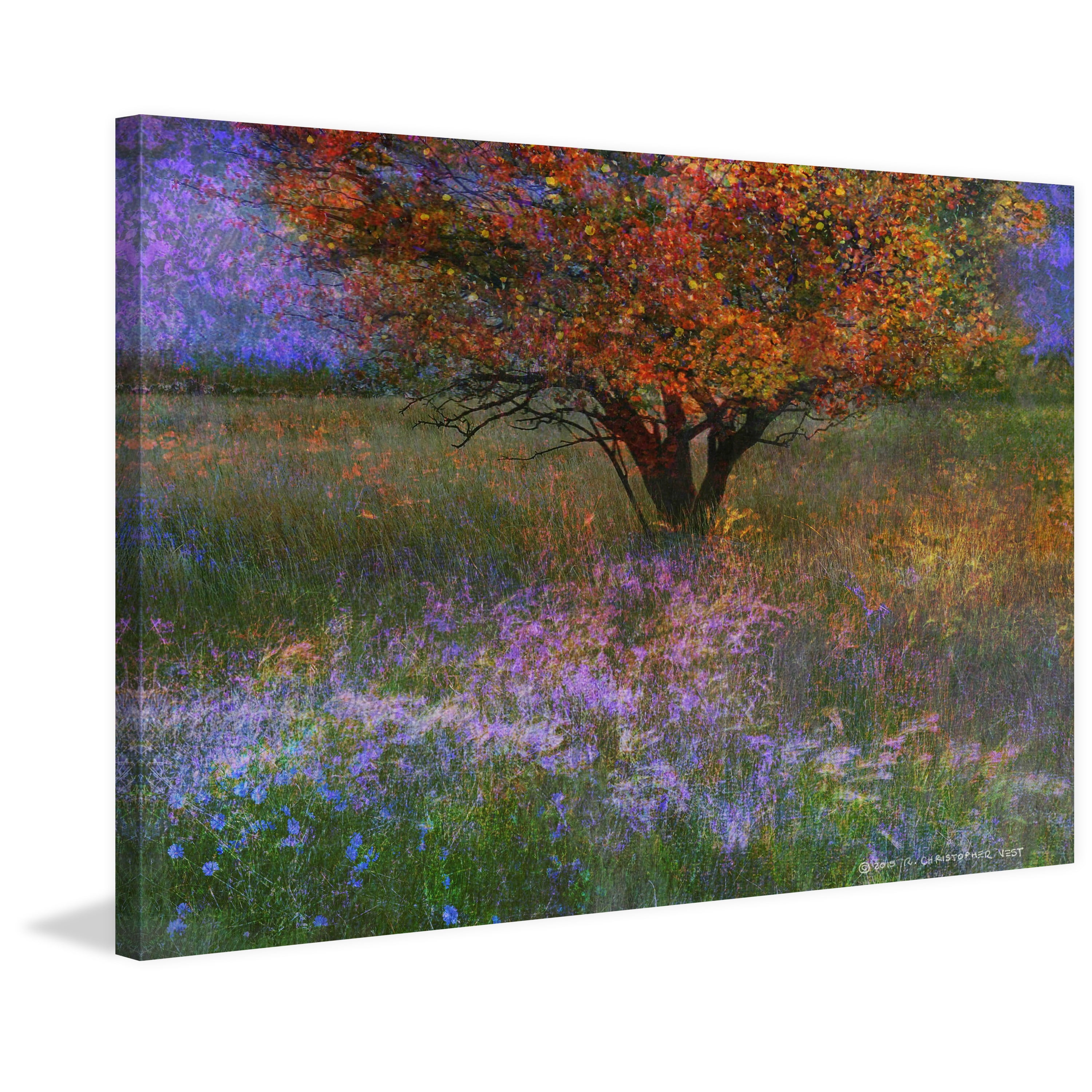 Marmont Hill - "Lone Tree Flowered Meadow" by Chris Vest Painting Print on Wrapped Canvas