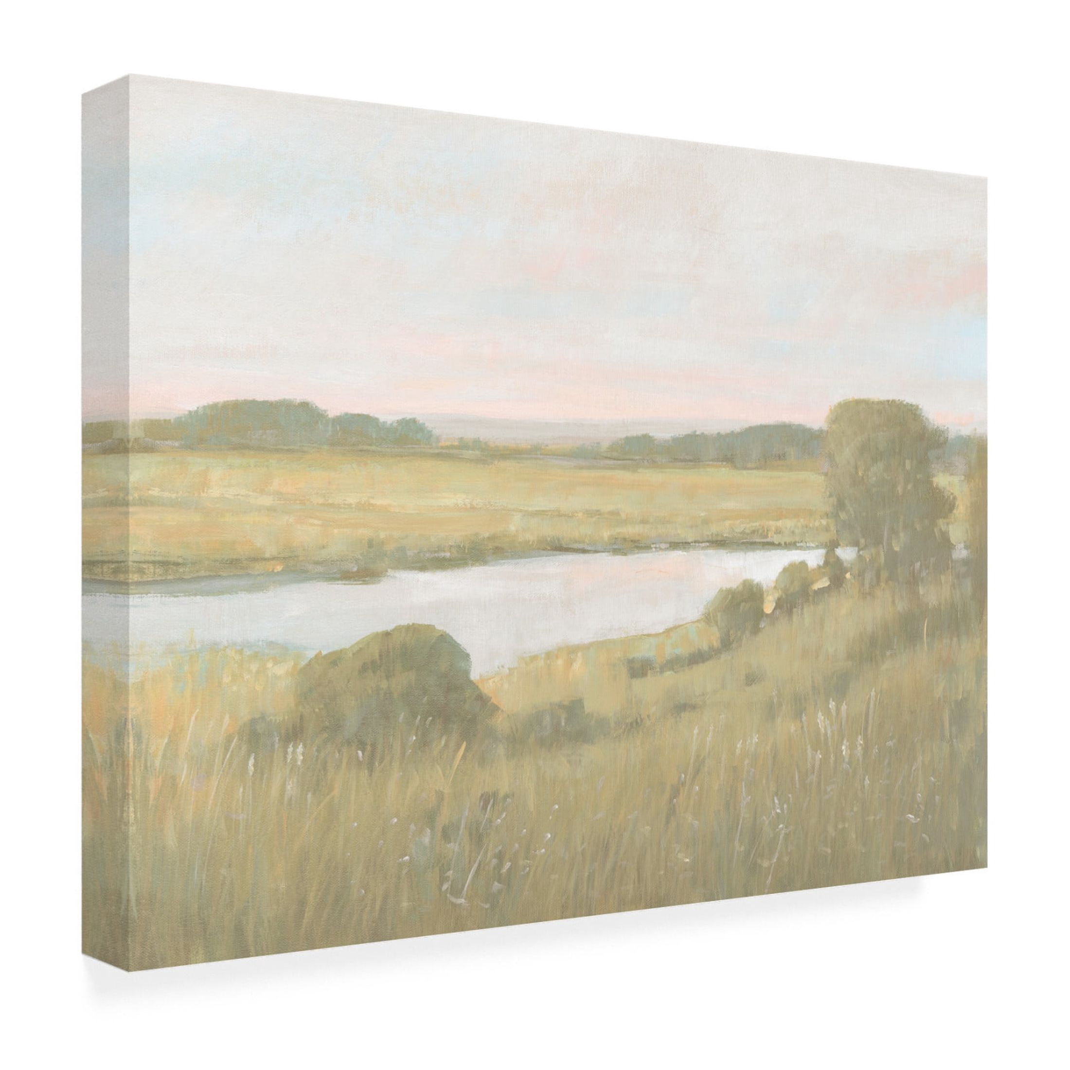 Trademark Fine Art Tim OToole  Marsh Horizon at Dawn II Canvas Wall Art