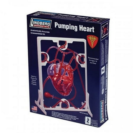 Lindberg Pumping Heart