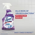 thumbnail image 4 of Lysol Mold & Mildew Remover Spray with Bleach, 32 oz (Pack of 2), 4 of 6