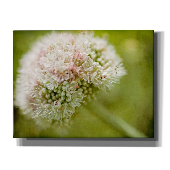 Epic Graffiti 'Ever So Softly' by Jessica Rogers, Canvas Wall Art, 34"x26"