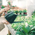 thumbnail image 3 of Uadme 1.2L Petits Arrosoirs Intérieur Arrosoirs Long Bec Fleur Arrosoirs Jardinage Maison Arroseur Convient pour Intérieur Et Extérieur, Maison, Jardin, Fleurs(Vert), 3 of 8