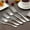 5Pcs Stainless Steel Fork Under $5 a1, variant on Yrmaups Stainless Steel Fork, 1010 Tableware Dining Fork, Polished Metal Fruit Fork, Hotel Grade Cutlery,childrenAdult Utensil, Dinner Fork