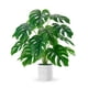 thumbnail image 1 of Planta artificial Der Rose de 71 cm de altura para decoración del hogar, 1 of 7