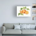 thumbnail image 2 of Trademark Fine Art 'Citrus Garden VIII' Canvas Art by Kathleen Parr McKenna, 2 of 4