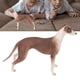 thumbnail image 1 of Figura De Galgo Mascota, Figura De Galgo Realista Mascota Modelo De Perro Galgo Modelo De Juguete De Galgo Aspecto Llamativo, 1 of 8
