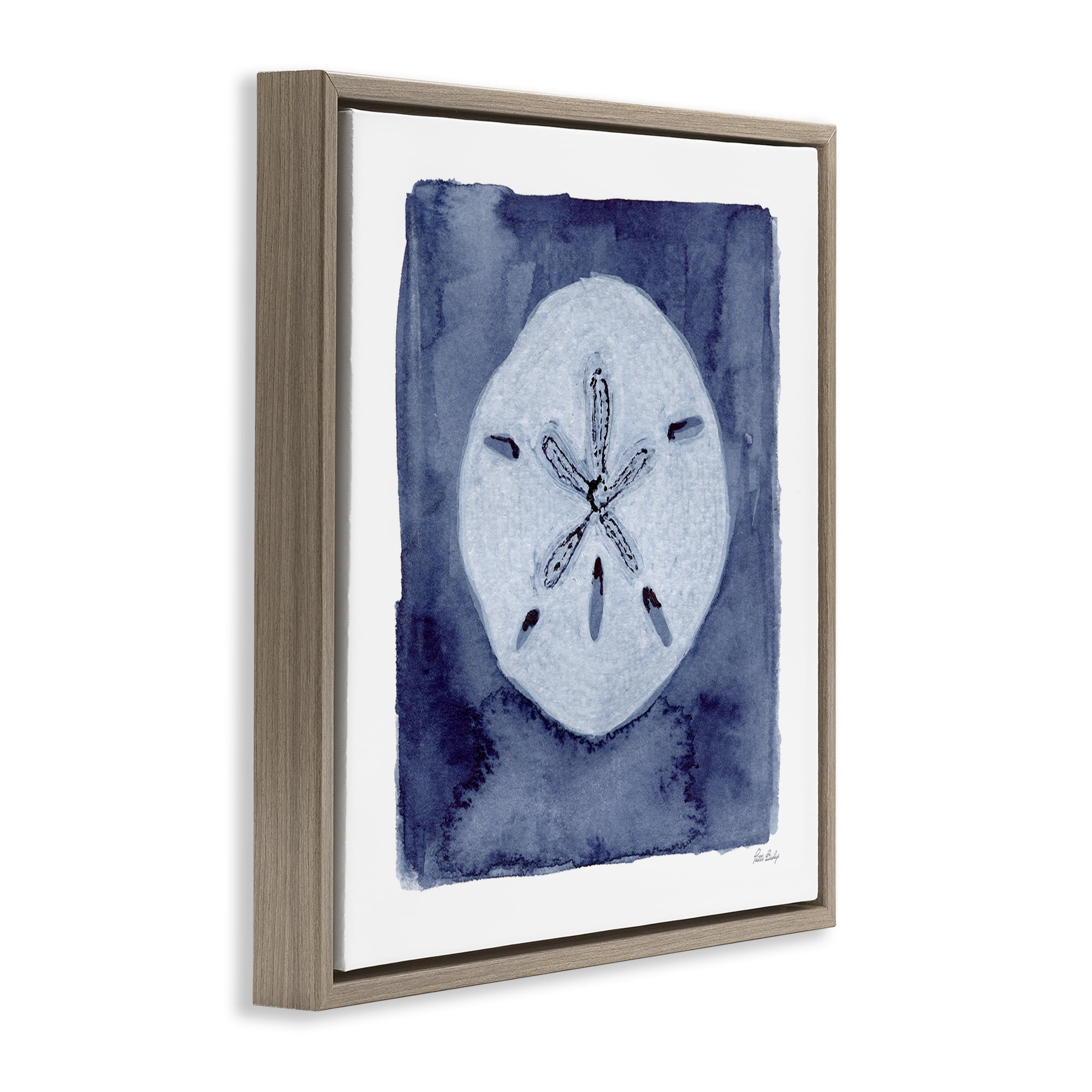 Stupell Industries White Sand Dollar on Indigo Brown Framed Floater Canvas Wall Art, design by Patti Bishop