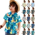 thumbnail image 3 of Futezty Boys Summer Clothes Toddler Hawaii Beach T-Shirt Graphic Tees Tops, 3 of 6
