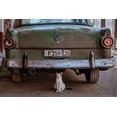 thumbnail image 2 of Bauer, Andreas 32x23 Black Ornate Wood Framed with Double Matting Museum Art Print Titled - Cuban Cat With Car, 2 of 4