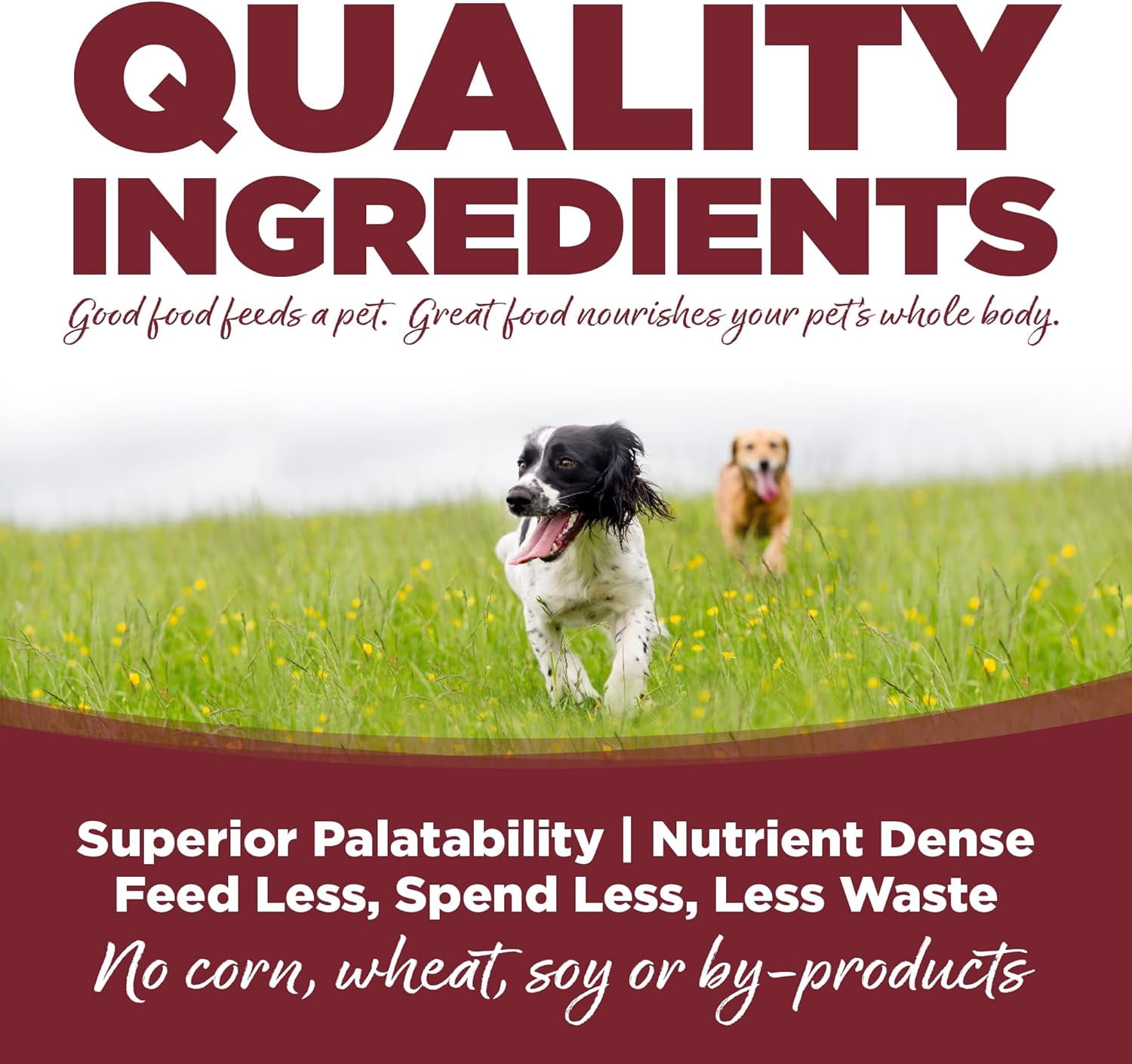 NutriSource Beef  Rice Recipe with Wholesome Grains Dry Dog Food, 4LB