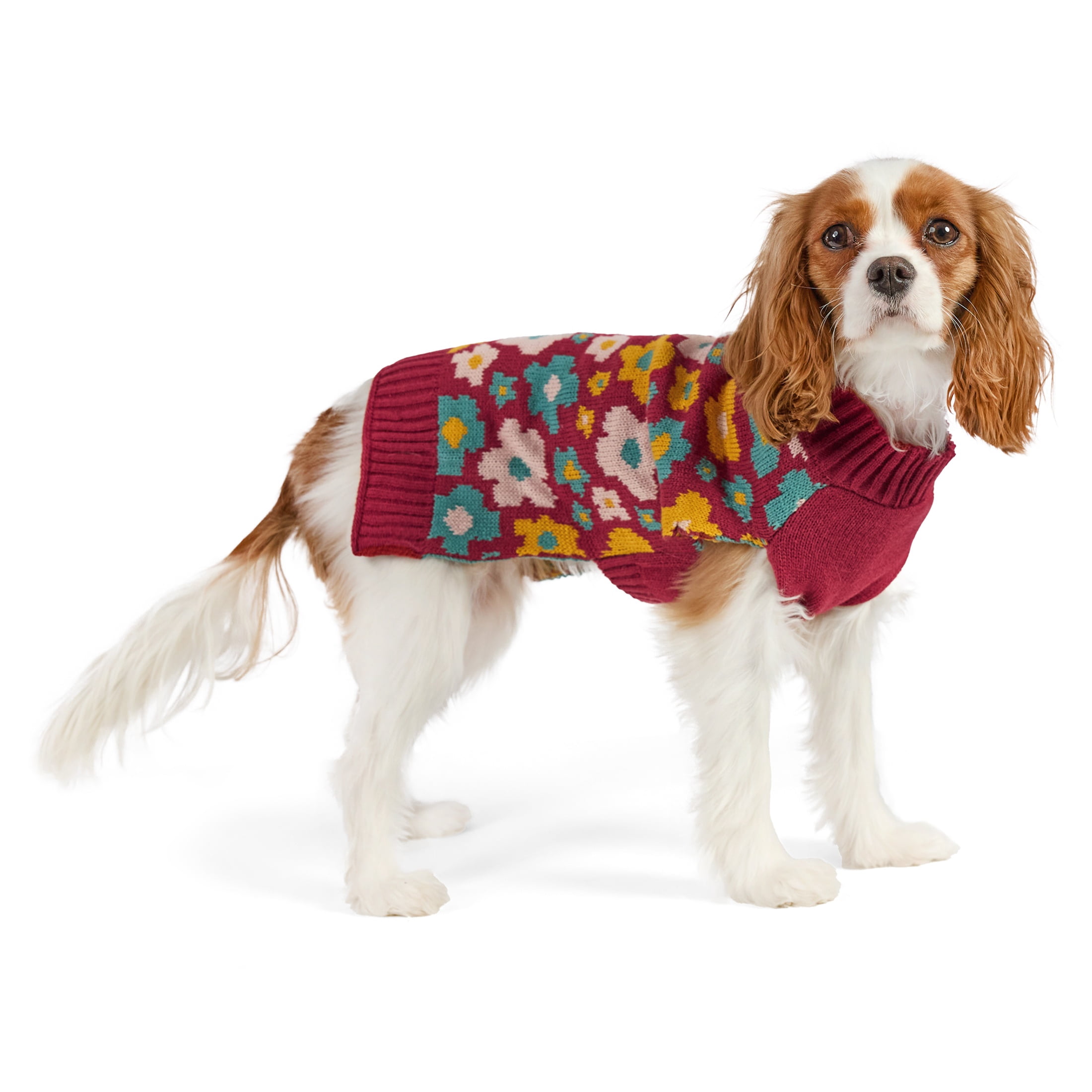 Vibrant Life Sweater for Dogs and Cats, Fall Flowers, Red and Yellow, S