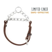 Mighty Paw Leather Training Collar, Martingale Collar, Stainless Steel Chain - Limited Chain Cinch Collar