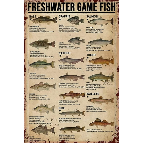 Fishing Jigsaw Puzzles 500 Piece for Adults - Freshwater Game Fish Type of Fish Knowledge Wooden Puzzle Fun Games Stress Relief Toys for Home Decor Living Room Decor Size: 8 x 12 Inch