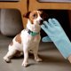 thumbnail image 5 of par de guantes de entrenamiento para perros, guantes antimordeduras para mascotas, guantes protectores multifunción, 5 of 7