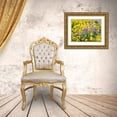 thumbnail image 3 of Eggers, Terry 14x12 Gold Ornate Wood Framed with Double Matting Museum Art Print Titled - USA-Washington State Arrowleaf balsamroot and lupine, 3 of 4
