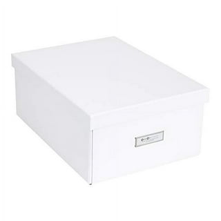 Bigso Box of Sweden Organizer scrivania per fogl…