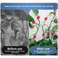 thumbnail image 4 of Plant Climbing Wall Clips, 2025 New Plant Climbing Wall Fixture Clips with Self-Adhesive Wire Fixing Vine, Plant Support Clips for Indoor Home Garden Decor, 4 of 7