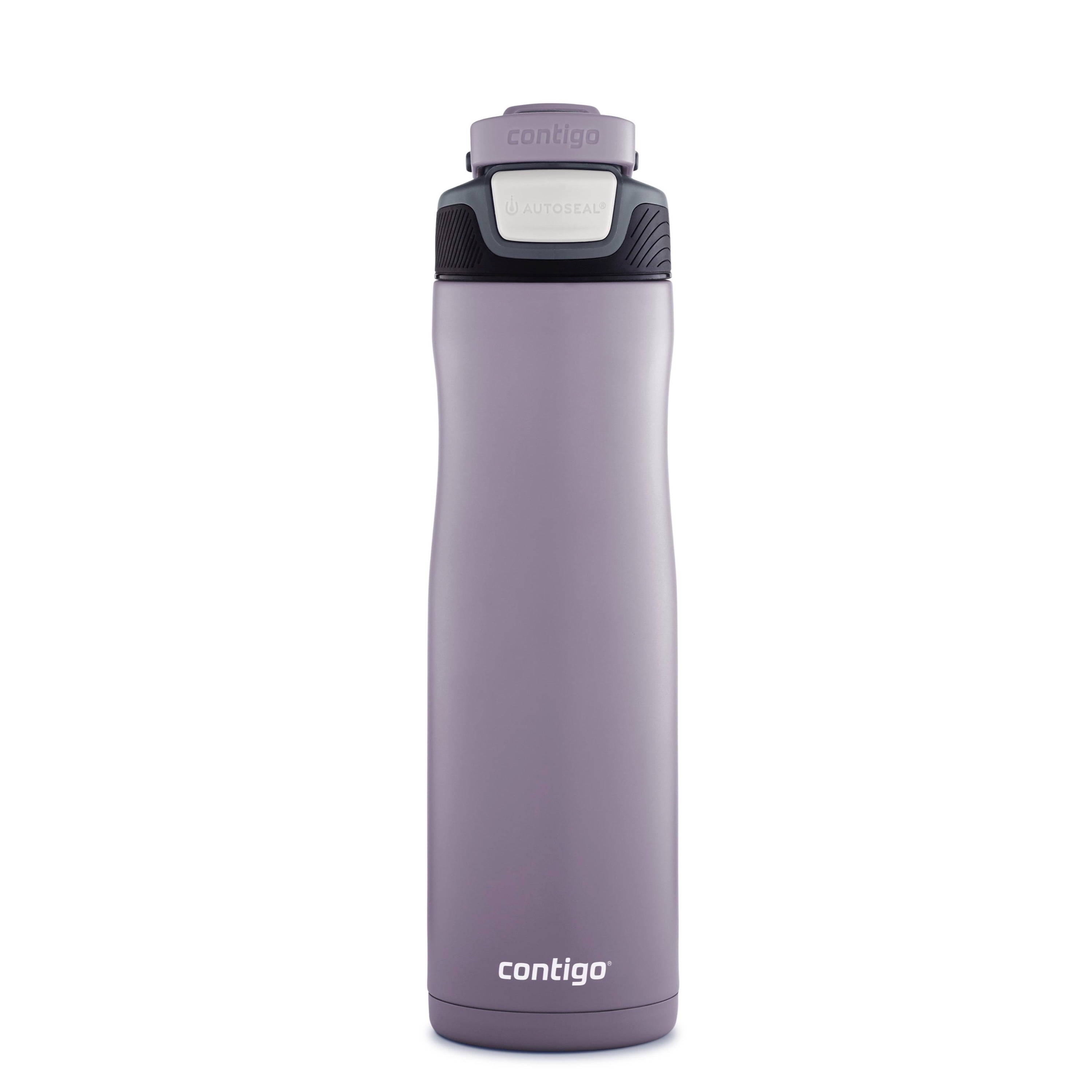 24 oz Stainless Steel Insulated Water Bottle - Purple - McClumsy