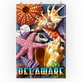 thumbnail image 3 of Delaware, Shell Montage (24x36 Giclee Gallery Art Print, Vivid Textured Wall Decor), 3 of 3