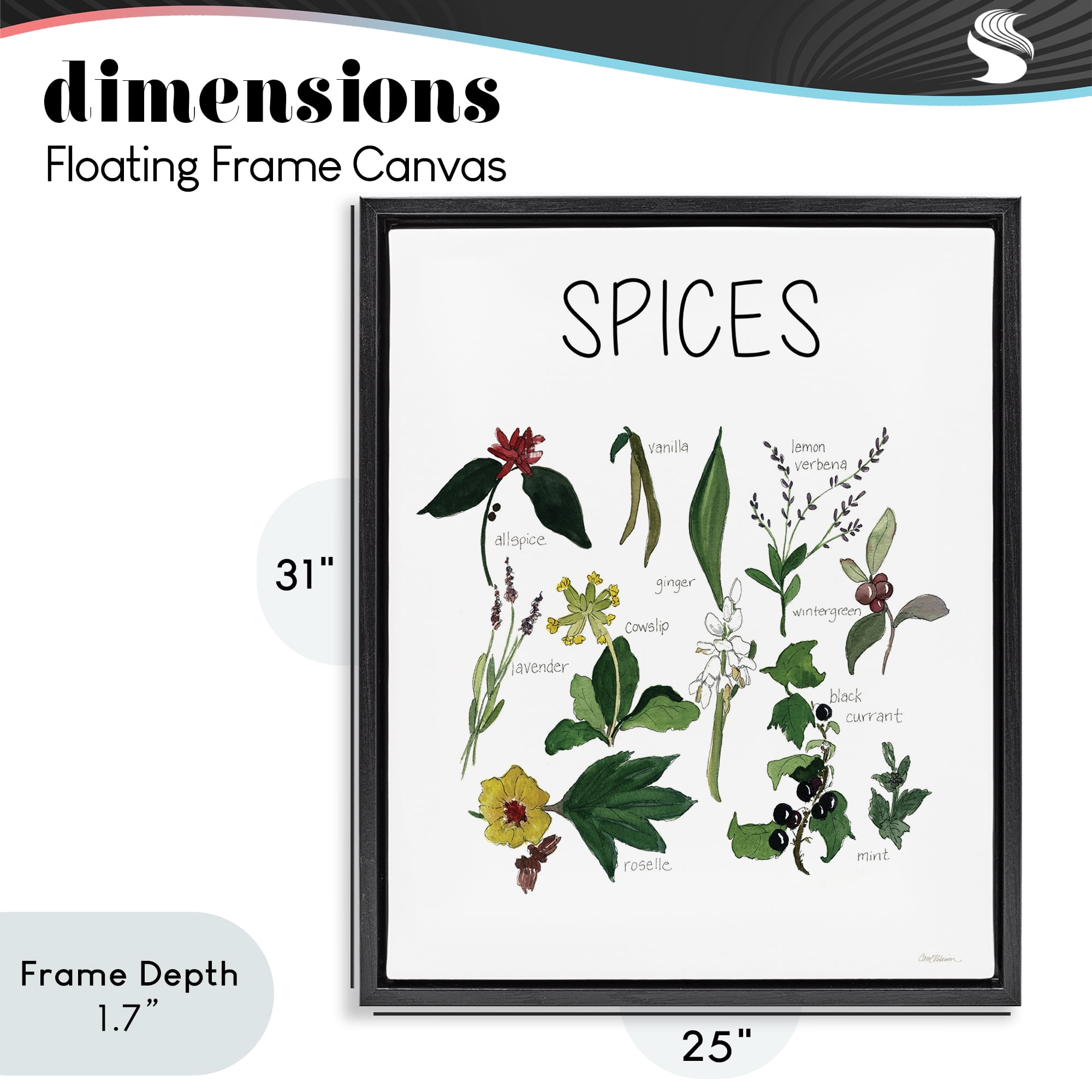 Stupell Industries Spices Identification Chart Black Framed Floater Canvas Wall Art, design by Carol Robinson