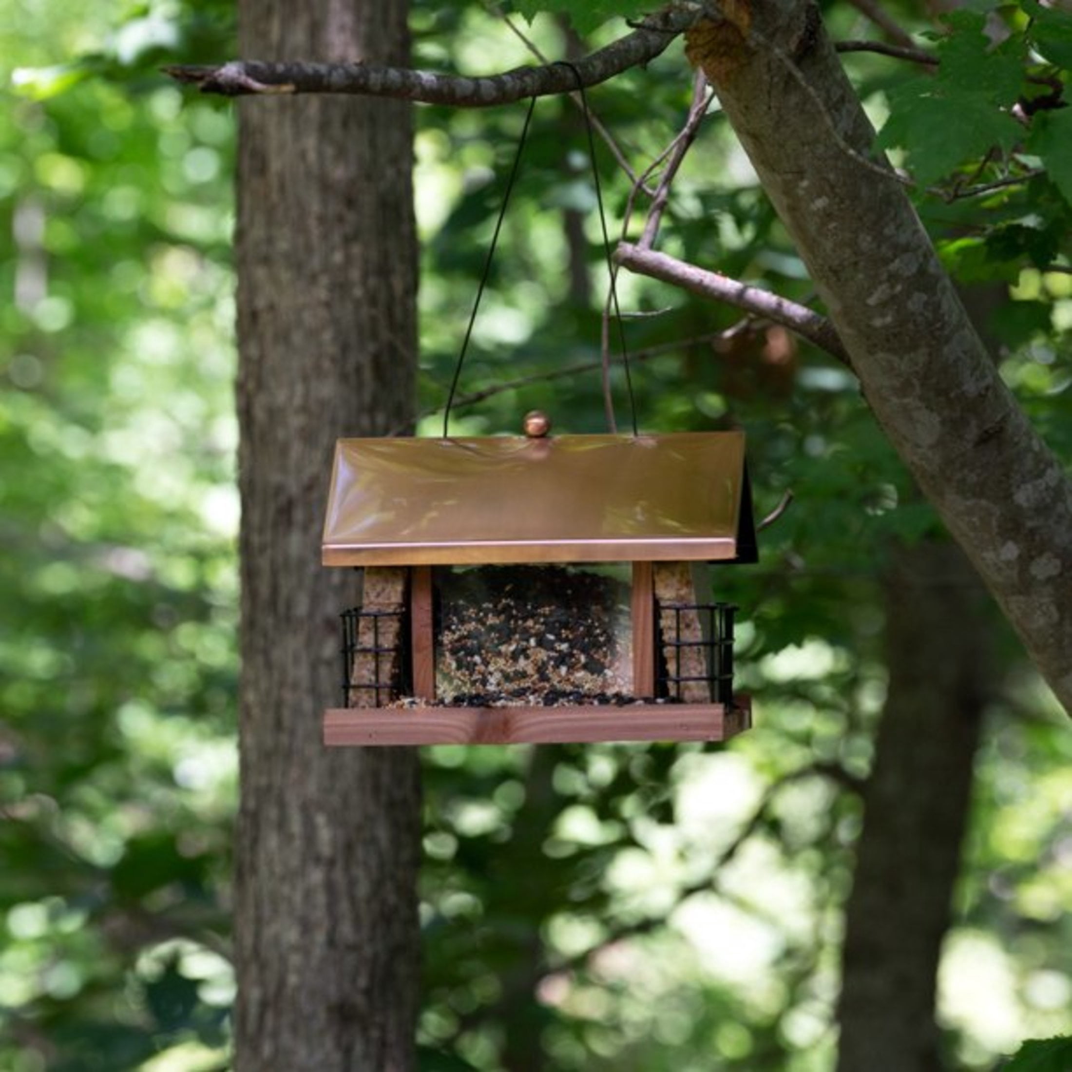 Pennington Cedar Copper Roof Cafe Bird Feeder 2.5 Pounds