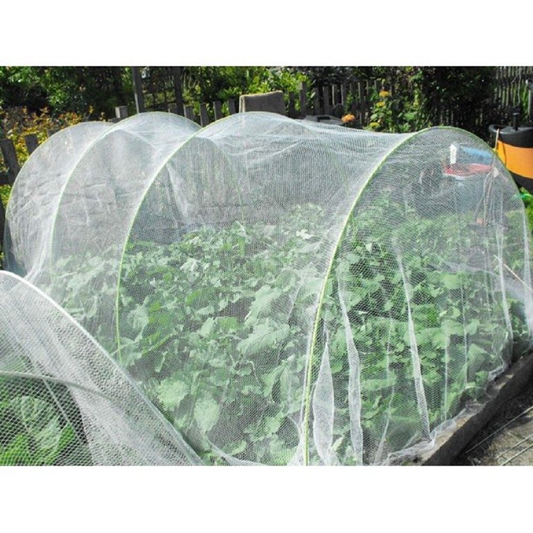 Bug Netting For Gardens