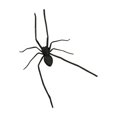 thumbnail image 2 of decorative Magnets, Realistic Spider Fridge Magnets Strong, Magnetic Stickers with Lifelike Spider Shapes, for Halloween decorations Outdoor, Home decor Kitchen and Kids Fridge, 2 of 5