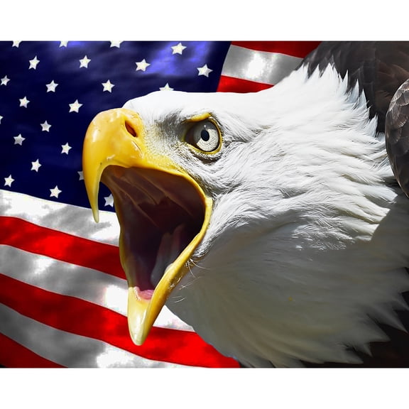 5D Diamond Painting Kits for Adults kids Beginners Paint By Diamond Set Round Full Drill Craft Diamond Art Painting Art Craft Painting Kit-Eagle and flag