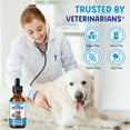 thumbnail image 4 of Petpya Hip And Joint for Dogs 2PC Joint Pain Relief & Inflammation Support Promote Mobility Bacon Flavor 60ml, 4 of 9