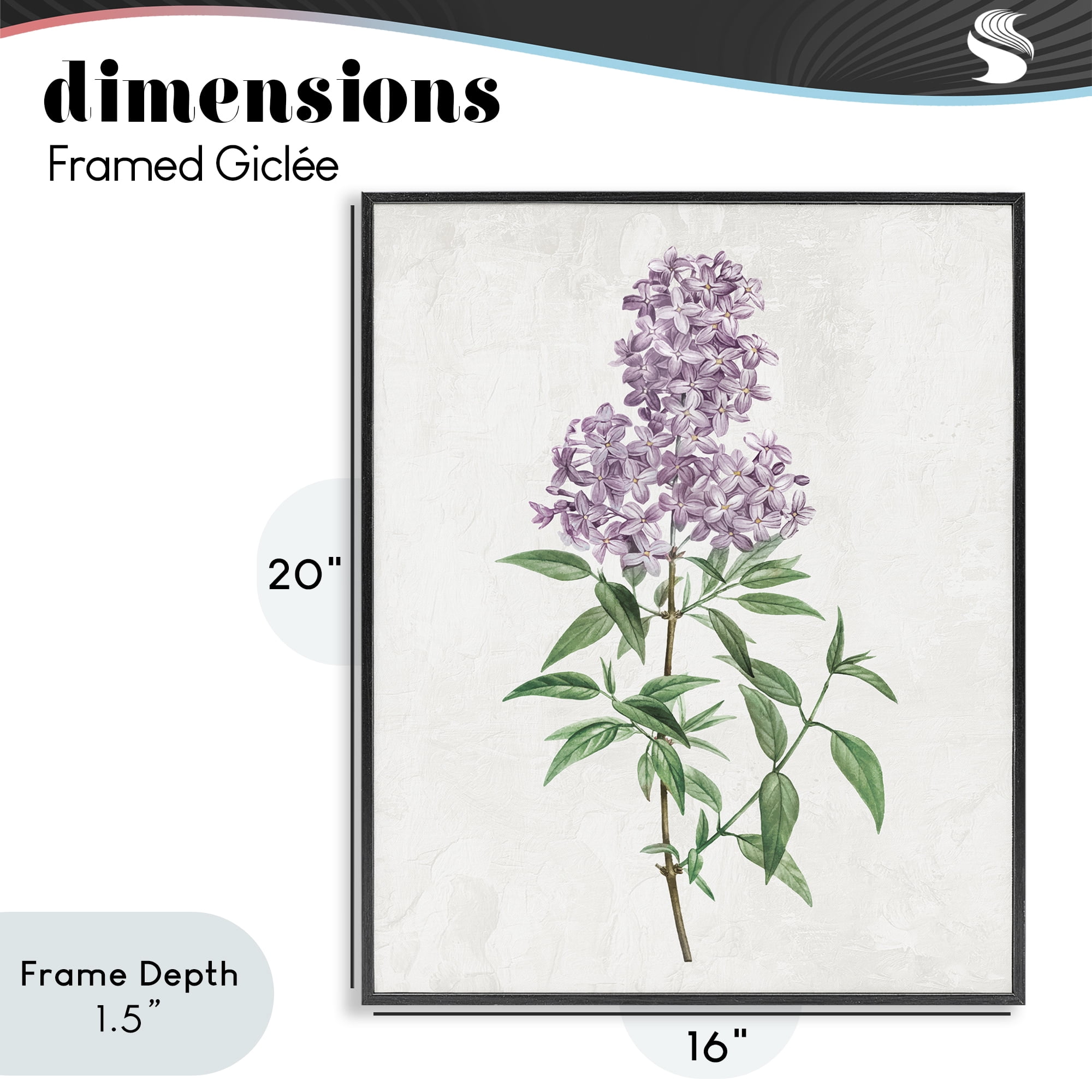 Stupell Industries Lilac Blossoms Blooms Black Framed Giclee Art, design by Kim Allen