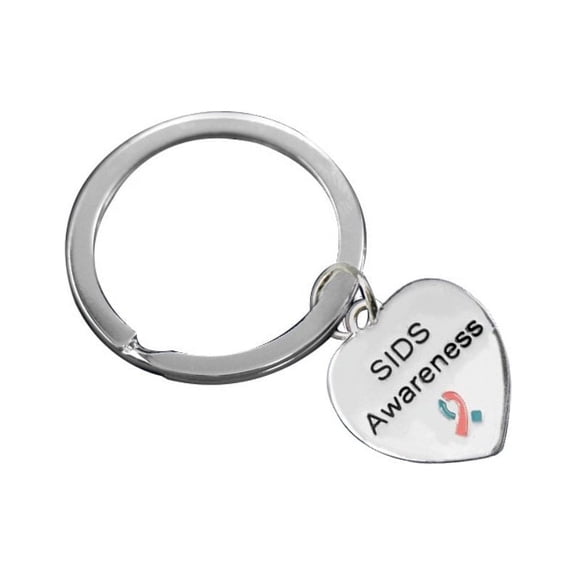 SIDS Pink & Blue Ribbon Split Style Key Chains