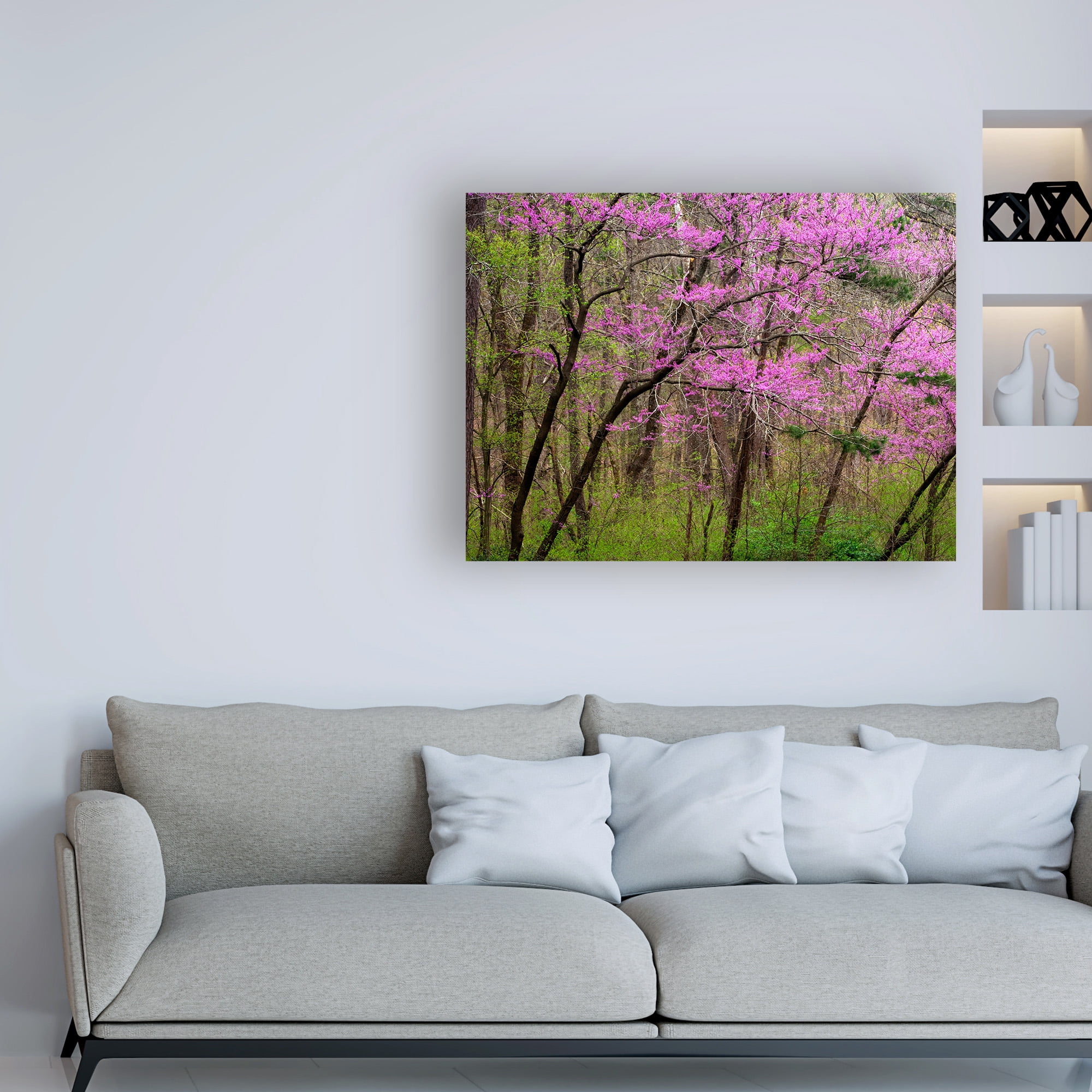 Trademark Fine Art 'Redbud Tree' Canvas Art by David Hammond