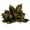 Basil, variant on Vickerman 6" White Wash Star Pod, 1 piece, Dried