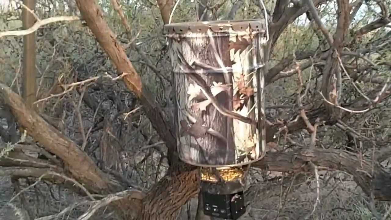 Wildgame Innovations The Nudge Game Feeder Walmart Com