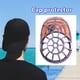 thumbnail image 5 of Lavadora De Sombreros Jaula de marco para lavadora de sombreros para lavadora (gris), 5 of 5
