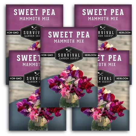 5 Packs Mammoth Sweet Pea Seeds Mix - Full Sun Annual Flower