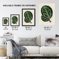 thumbnail image 3 of Vintage Botanical Maranta Calathea Leaves Fawcett Huge Wall Art Poster Print, 3 of 4