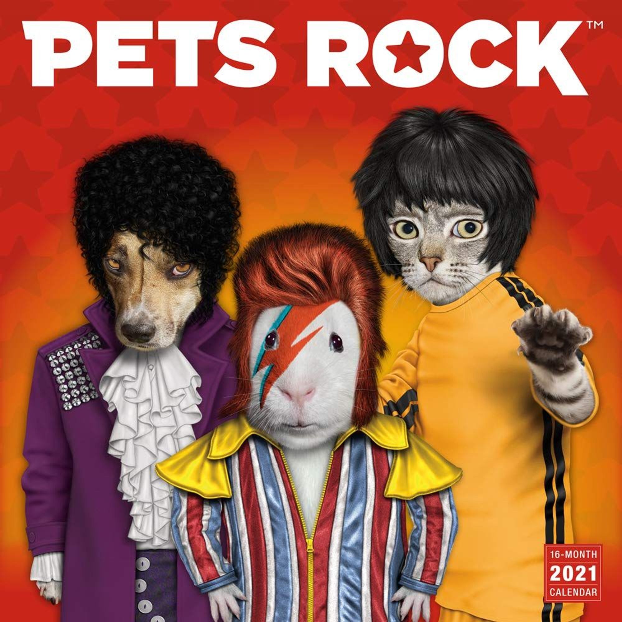 2021 Pets Rock 16 Month Monthly View Wall Calendar By Takkoda 12 x12 2021 Pets Rock 16 Month Monthly View Wall Calendar By Takkoda 12 x12