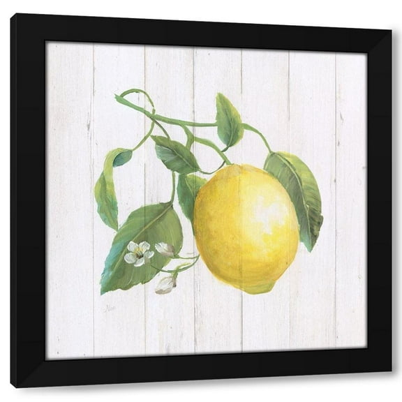 Nan 12x12 Black Modern Wood Framed Wall Art Titled - Lemon Fresh I